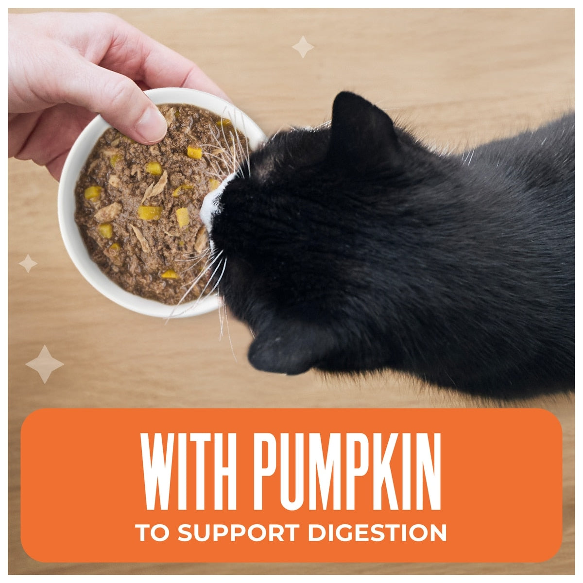 Tiki Cat FRIENDS TUNA & PUMPKIN 5.5OZ