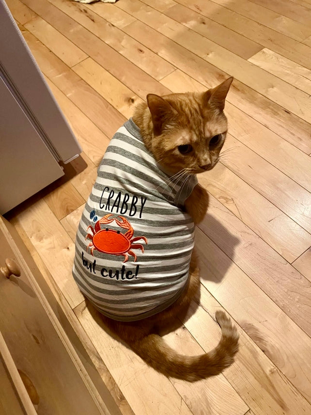 Crabby But Cute Pet T-Shirt