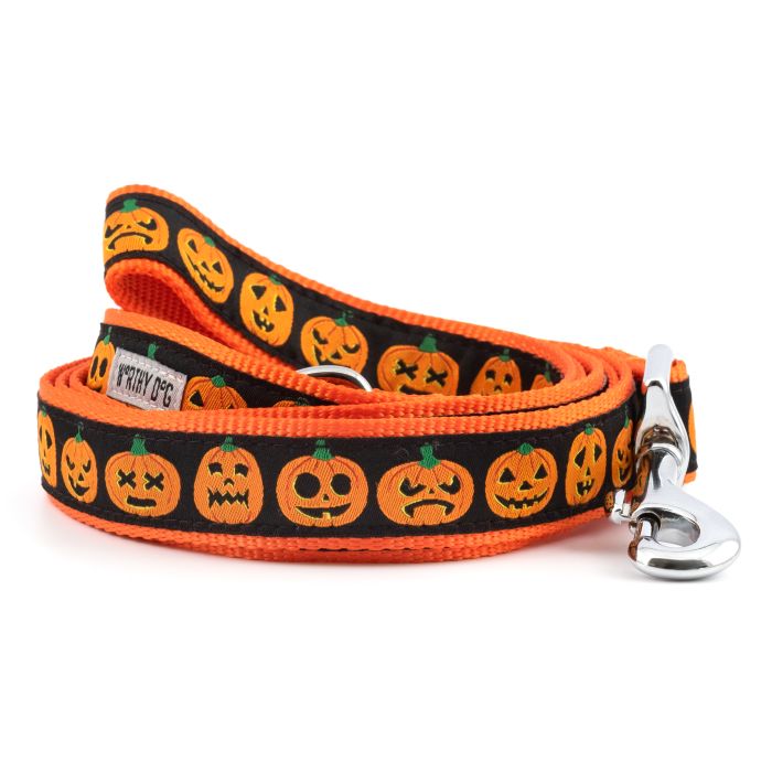 Jack-O-Lantern Lead