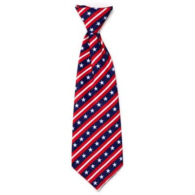 Bias Stars and Stripes Neck Tie