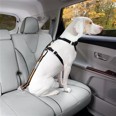 Direct to Seatbelt Tether