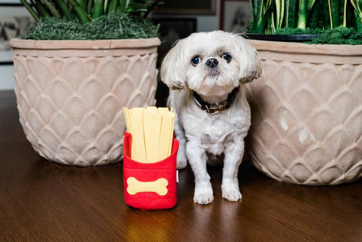 French Fry Snuffle Toy