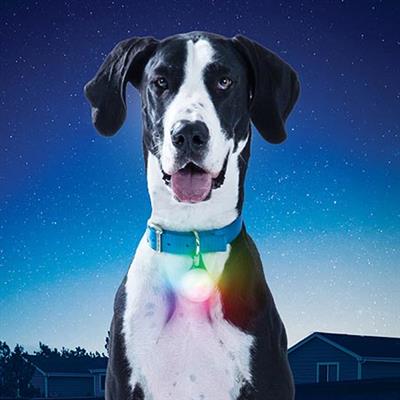 SpotLit XL Rechargeable Collar Light - Disc-O Select by Nite Ize