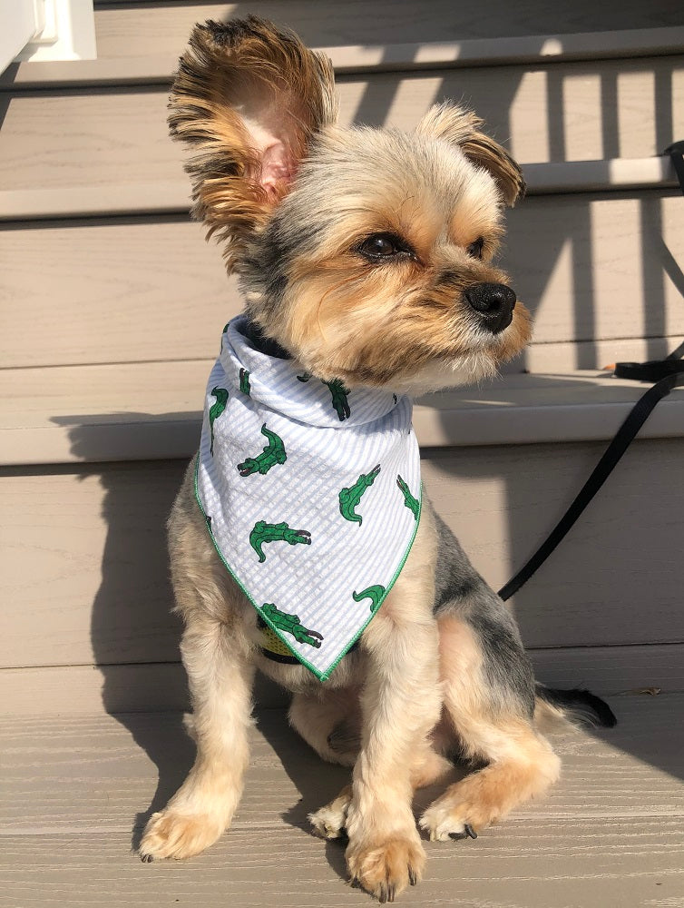 Alligator Pet Bandana