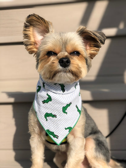 Alligator Pet Bandana