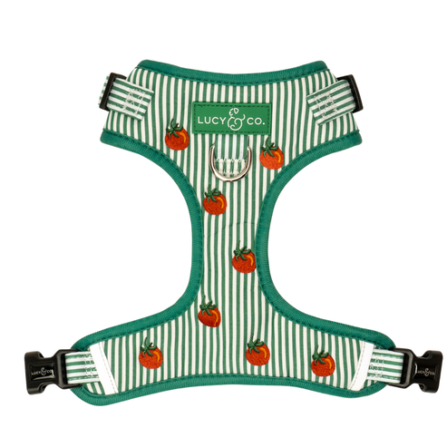 No-Pull Harness - Tomato