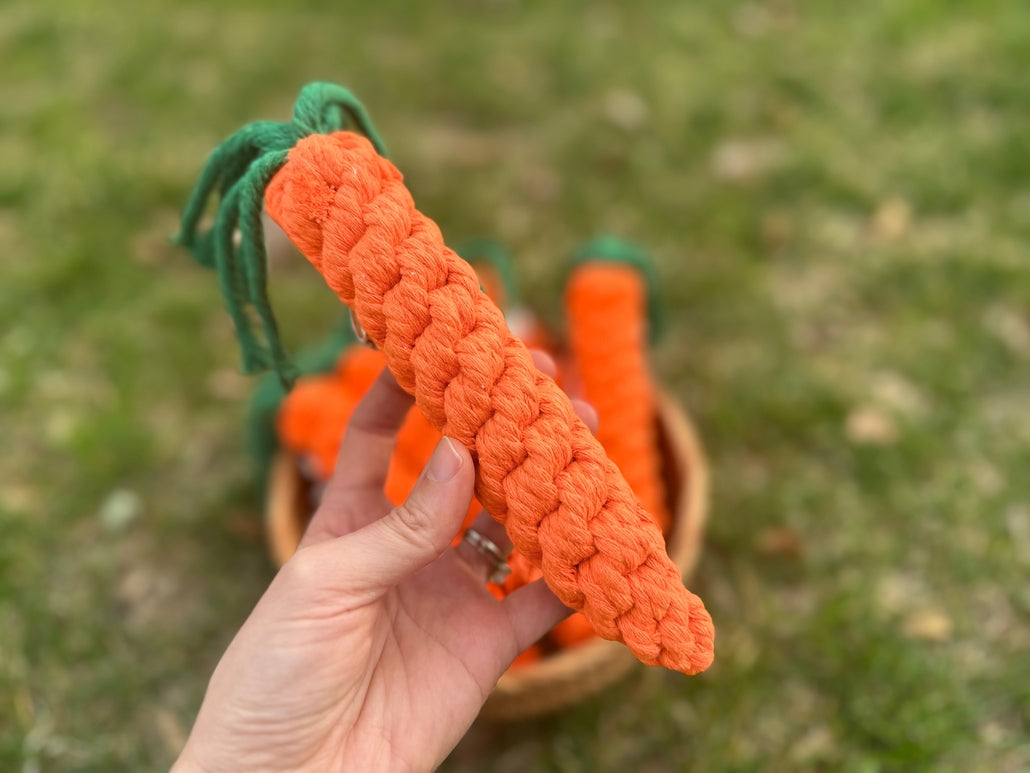 Carrot Rope Toy, Small