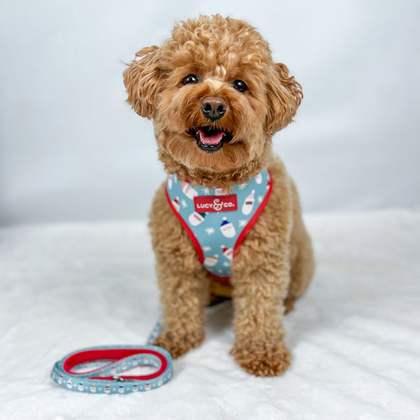 The Merry & Bright Reversible Harness