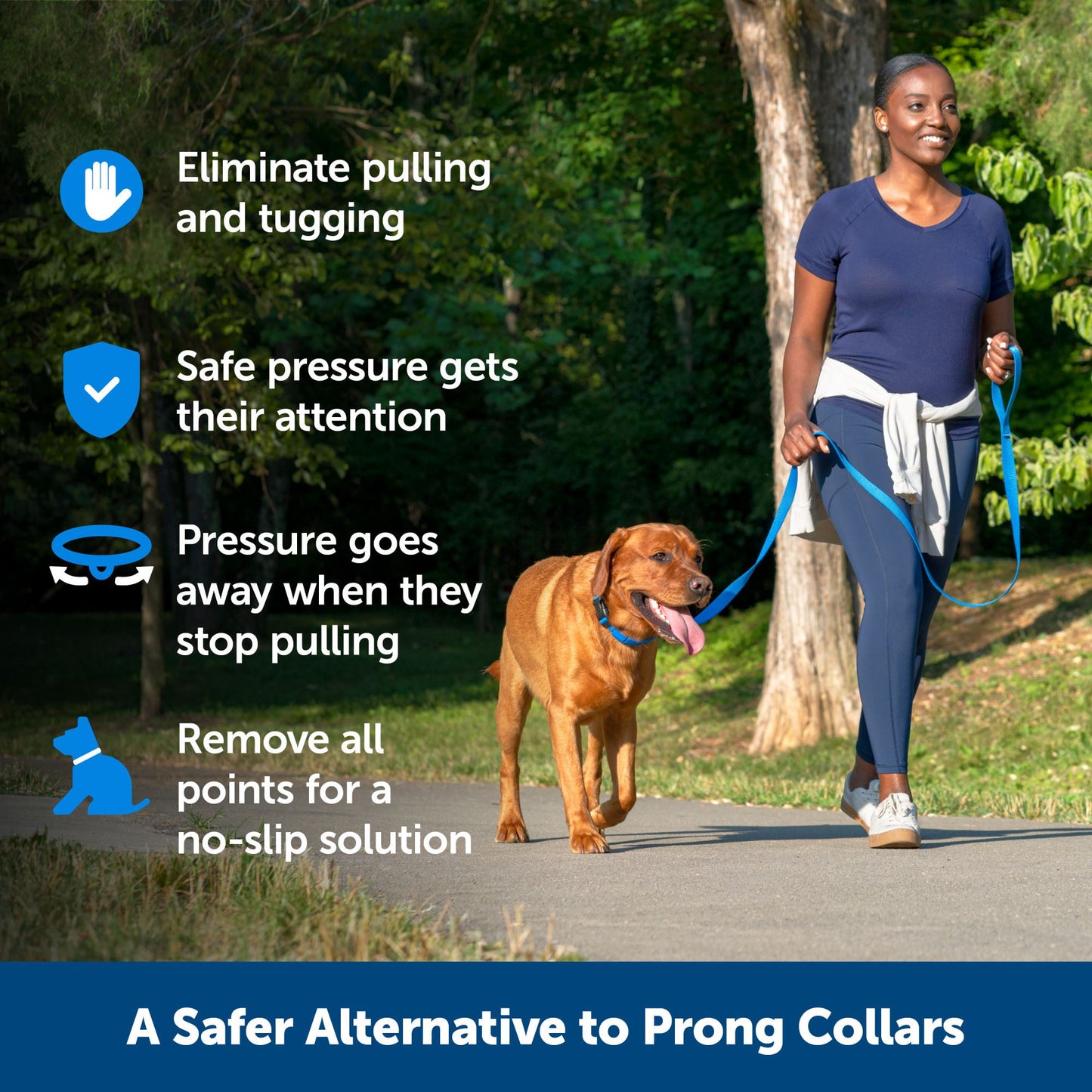 Soft Point Training Collar