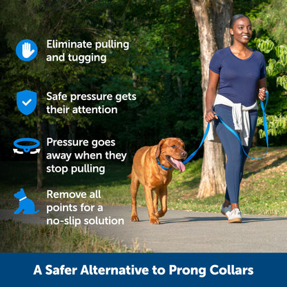 Soft Point Training Collar