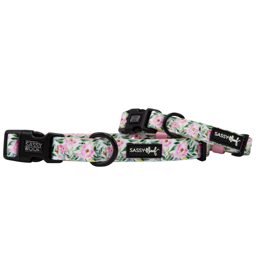 Dog Collar - Magnolia