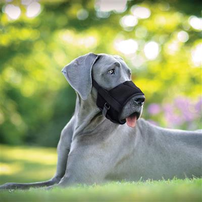 Best Fit Adjustable Comfort Dog Muzzle, Black