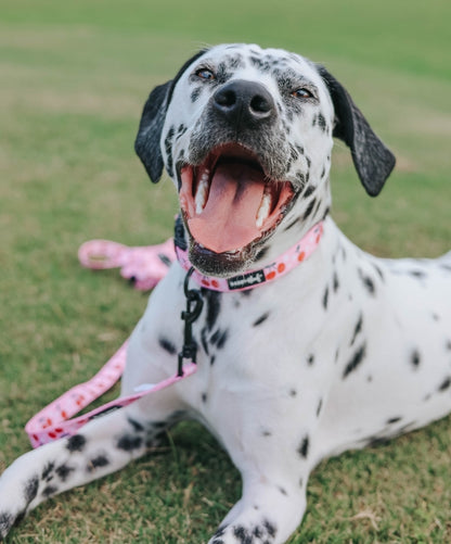 Dog Leash - Mon Chérry