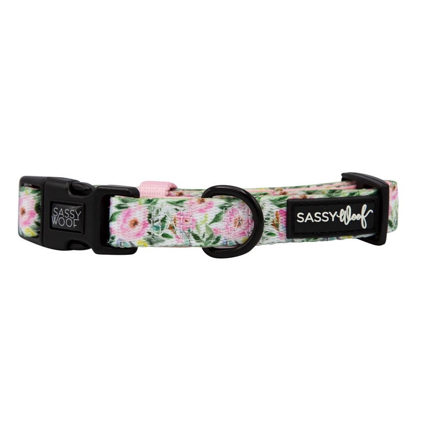 Dog Collar - Magnolia