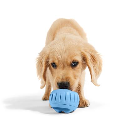 Woof Pet Pupsicle, Treat Dispensing Dog Toy, Special Edition Skyblue