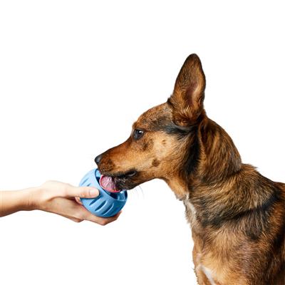 Woof Pet Pupsicle, Treat Dispensing Dog Toy, Special Edition Skyblue