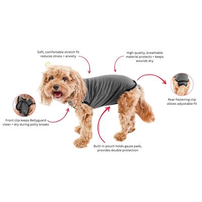 BellyGuard Recovery Suit for Dogs Post Surgery - GREY
