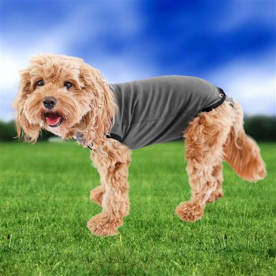 BellyGuard Recovery Suit for Dogs Post Surgery - GREY