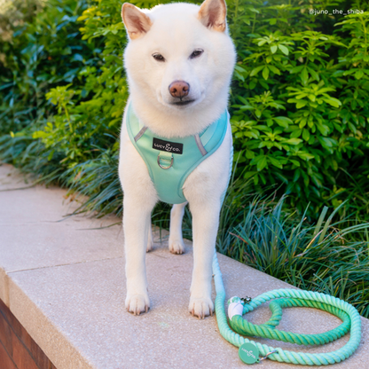Hands-Free Rope Leash - Spring Green