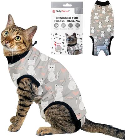 BellyGuard Recovery Suit for Cats Post Surgery - GREY