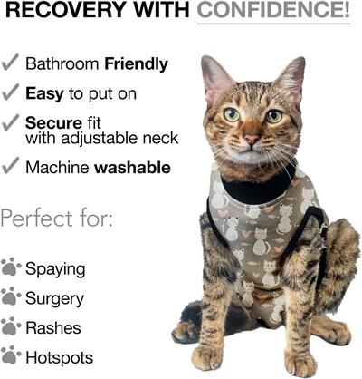 BellyGuard Recovery Suit for Cats Post Surgery - GREY