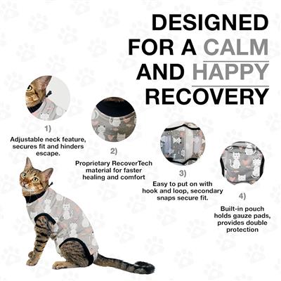 BellyGuard Recovery Suit for Cats Post Surgery - GREY