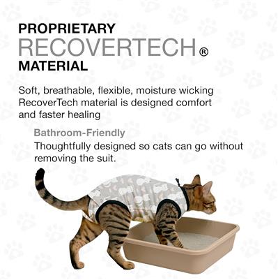 BellyGuard Recovery Suit for Cats Post Surgery - GREY