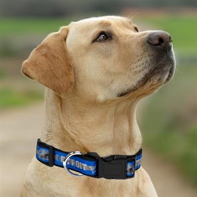 NFL Detroit Lions Satin Dog Collar