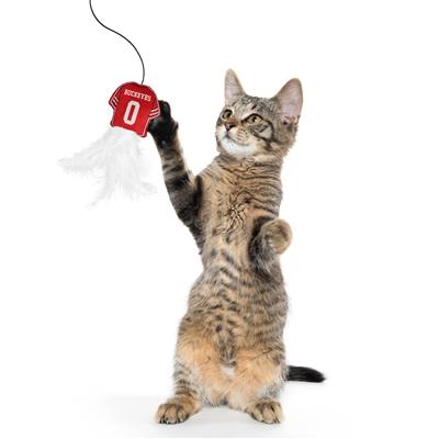 OHIO STATE BUCKEYES TEAM JERSEY WAND WITH CATNIP