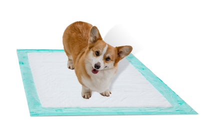 Earth Friendly Dog Pad - Ultra 30 Pack