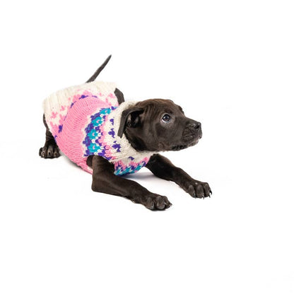 Barbie Ski Bum Dog Sweater