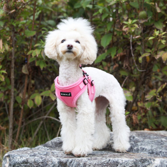 Puppia Soft Harness C Type, Pink