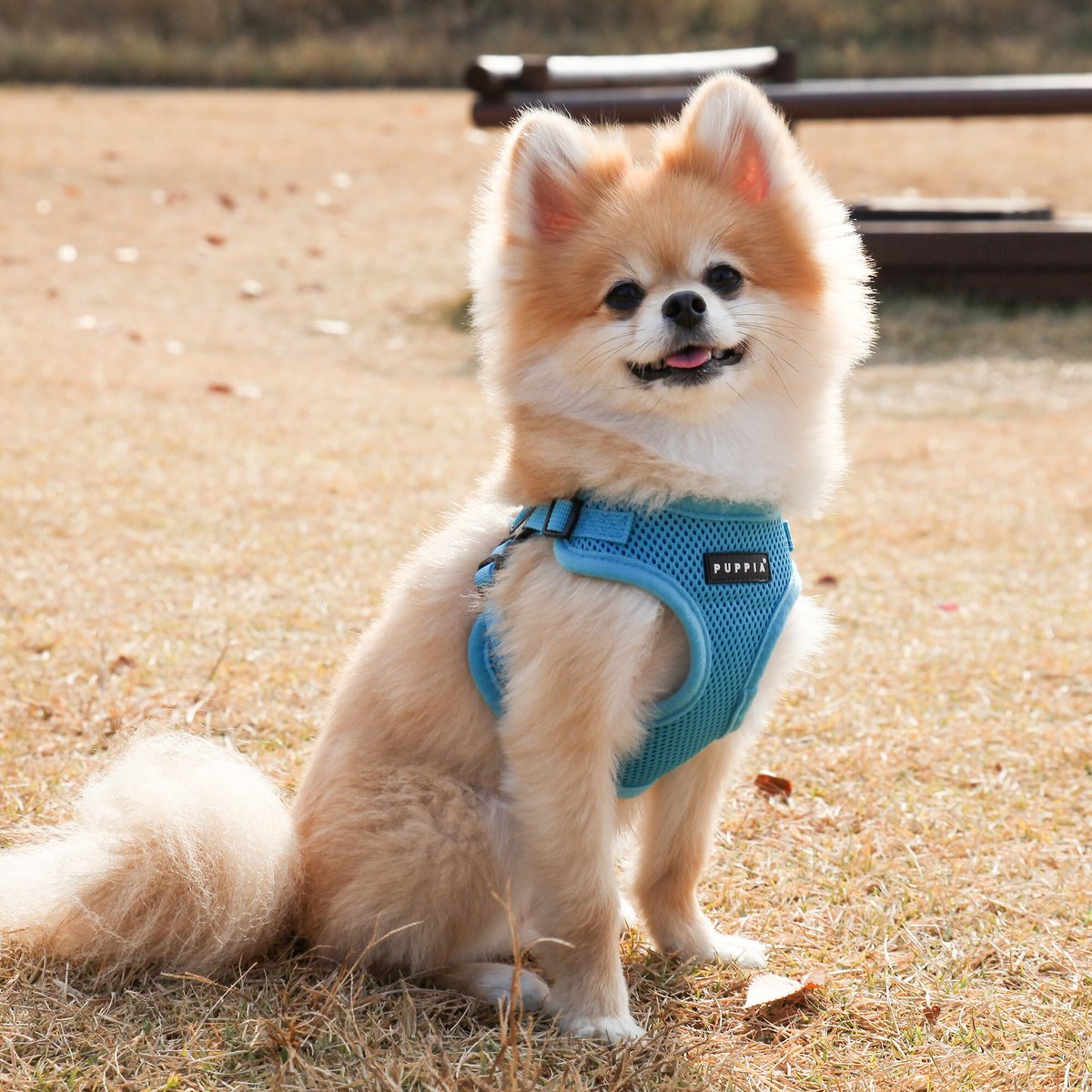 Puppia Soft Harness C Type, Sky Blue