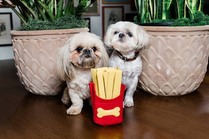 French Fry Snuffle Toy