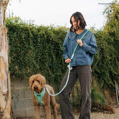 Hands-Free Rope Leash - Spring Green