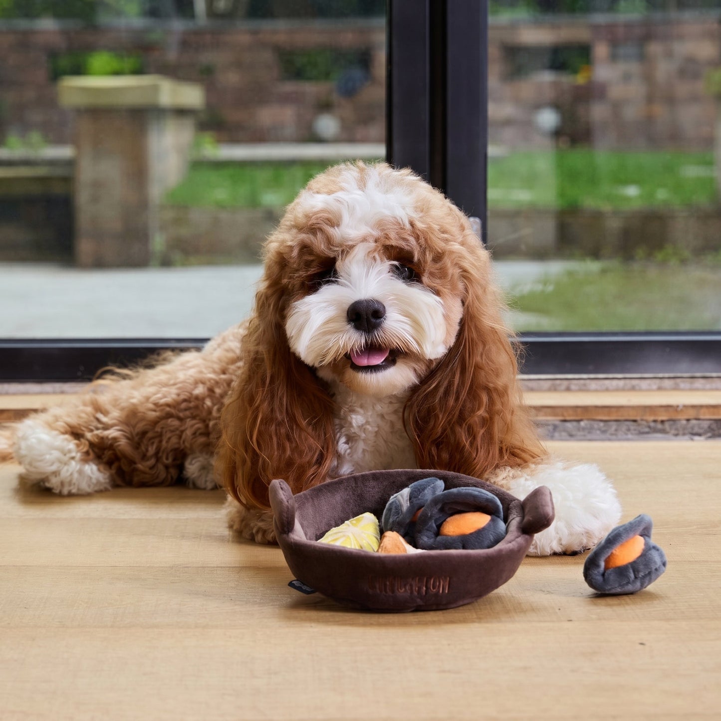 Steamed Mussels Set Hide & Seek Dog Toy