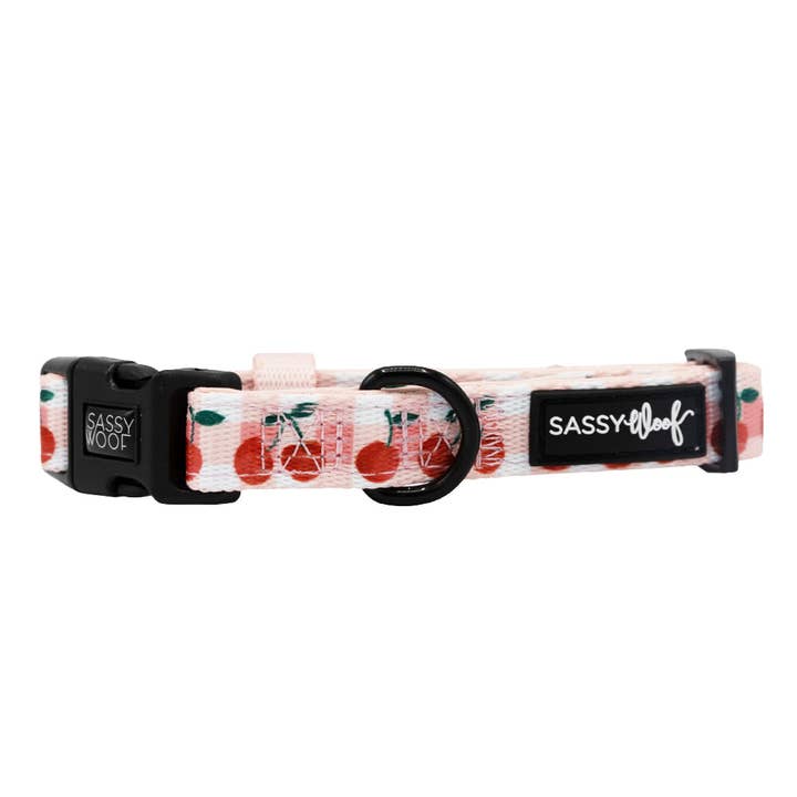 Dog Collar - Cherry Cute