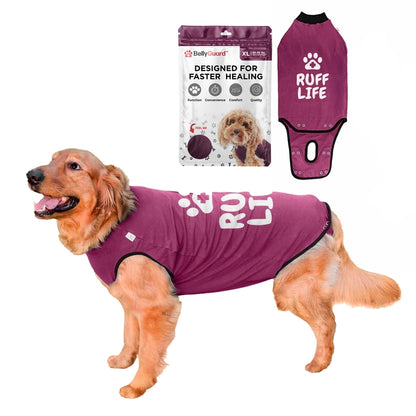 BellyGuard Recovery Suit For Dogs, Maroon