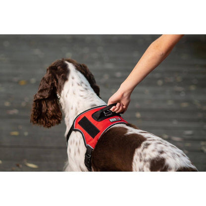 Dogline Quest Multi-Purpose No Pull Dog Harness, Red