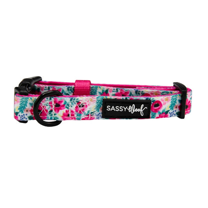 Dog Collar - Floral Frenzy