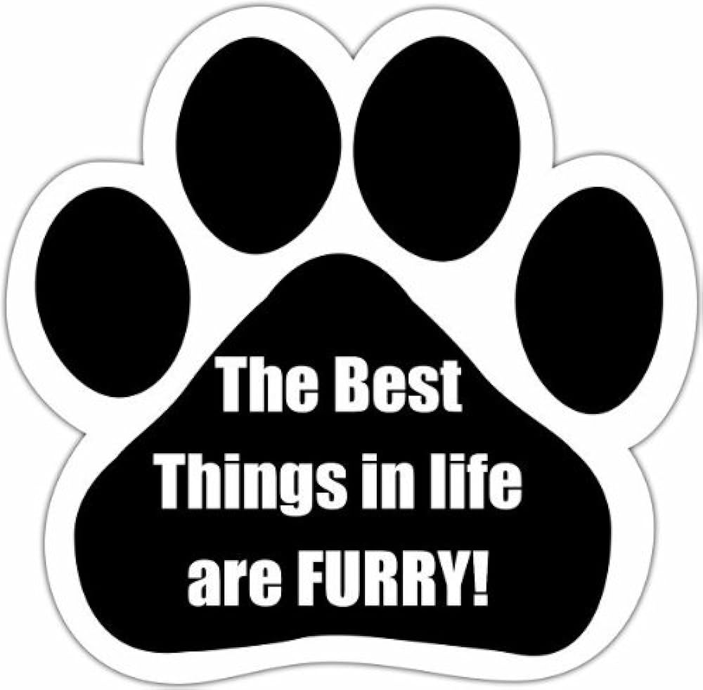 Car Magnet - The best things in life are furry