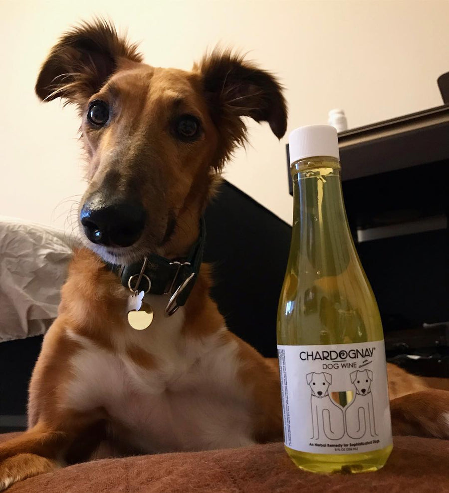 Dog Wine - CharDOGnay, Fish Oil+Bone Health Liquid Supplement