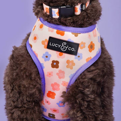The Let's Groove Reversible Harness