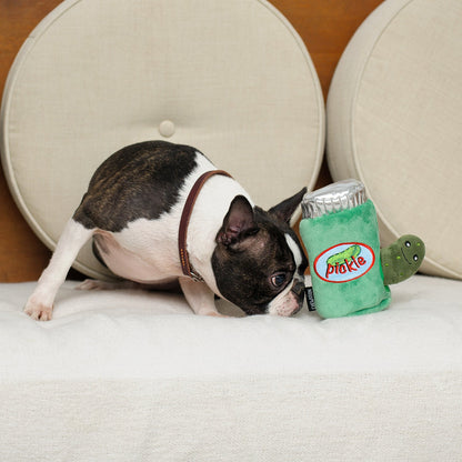Pickle Set Hide & Seek Dog Toy