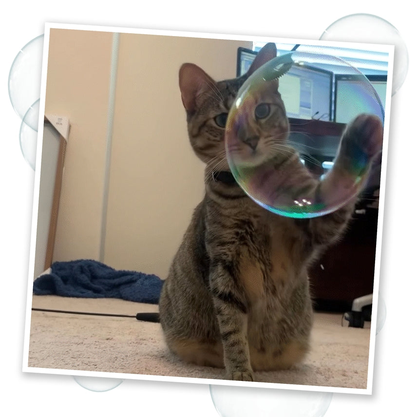Catnip Bubbles with Honeysuckle 5oz
