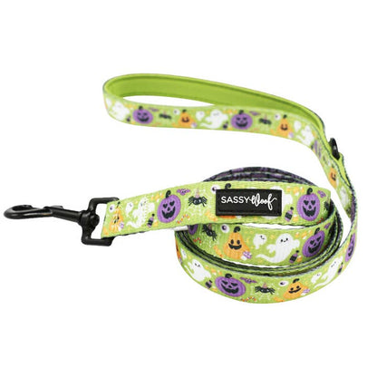 Dog Halloween Leash - Haunt Mess