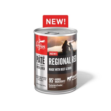 ORIJEN Pate Wet Dog Food Regional Red Pate with Liver 12.8oz