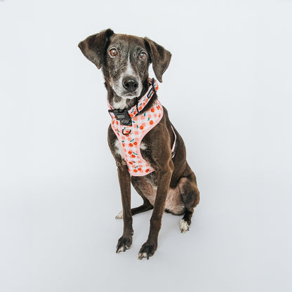 Dog Reversible Harness - Cherry Cute