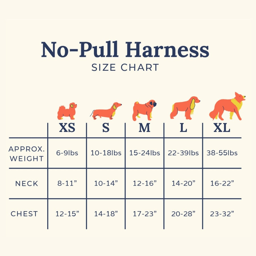 Smell the Roses Denim No-Pull Harness