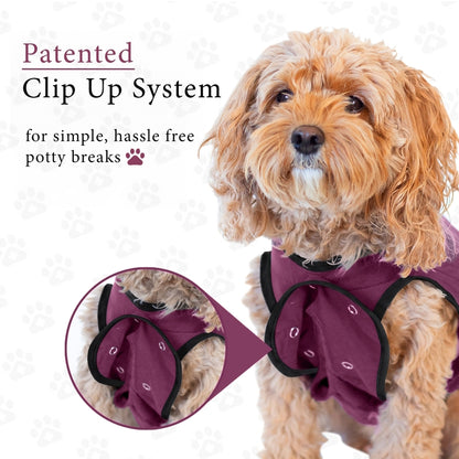 BellyGuard Recovery Suit For Dogs, Maroon